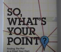 So, what?s your point: finding the plot in a chart your own adventure culture