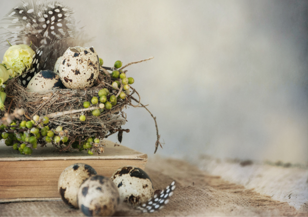 Kompozycja wielkanocna z jajkami, roślinami i piórkami