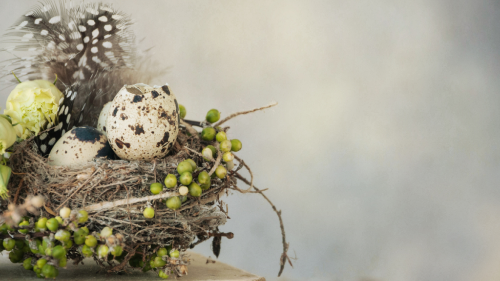 Kompozycja wielkanocna z jajkami, roślinami i piórkami