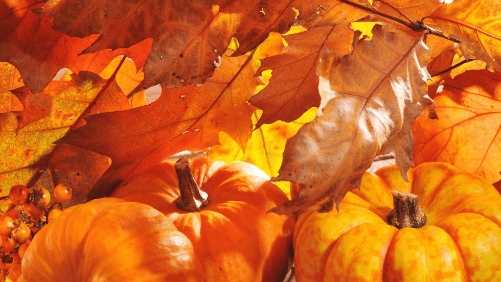 Pumpkins and leaves